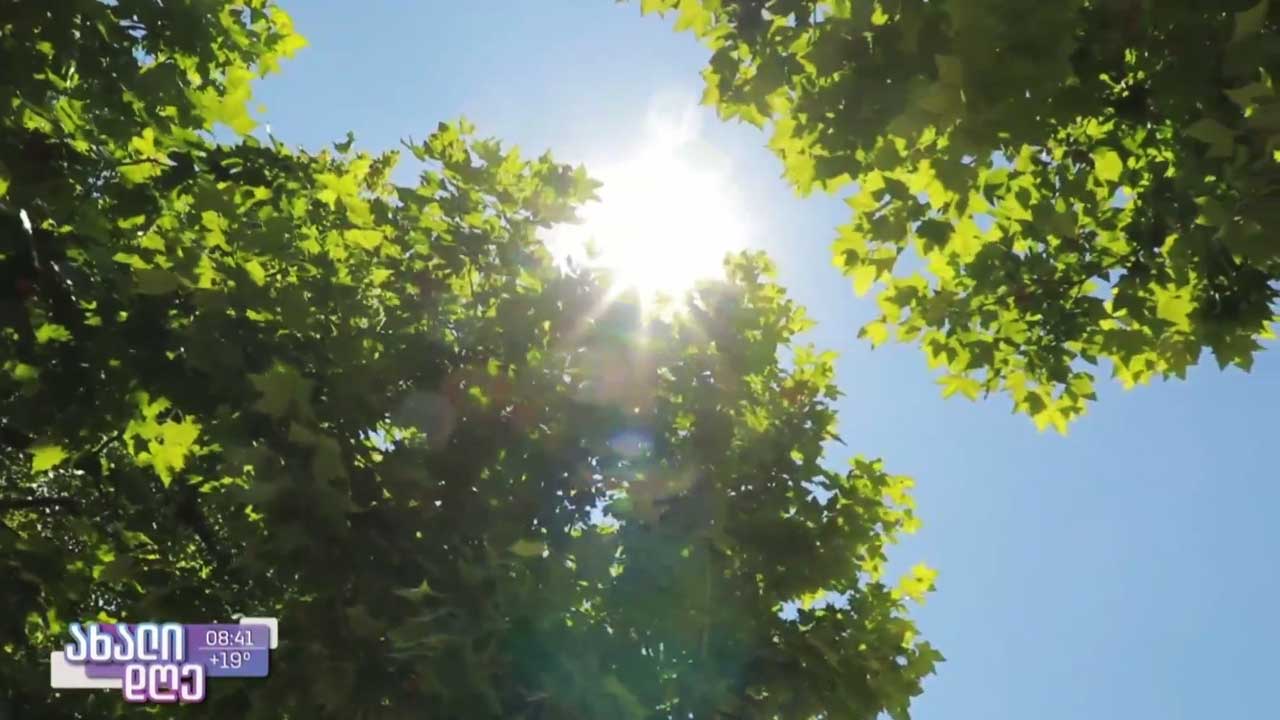 როგორ დავიცვათ თავი ზაფხულის სიცხისგან