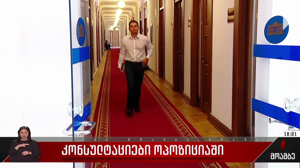 კონსულტაციები ოპოზიციაში  
