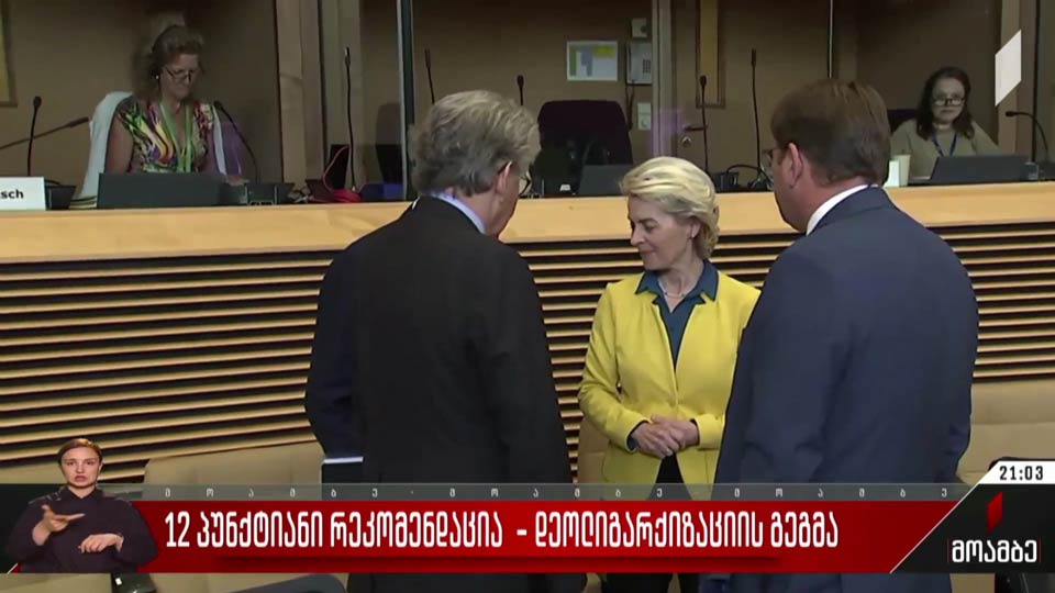 12-პუნქტიანი რეკომენდაცია - დეოლიგარქიზაციის გეგმა