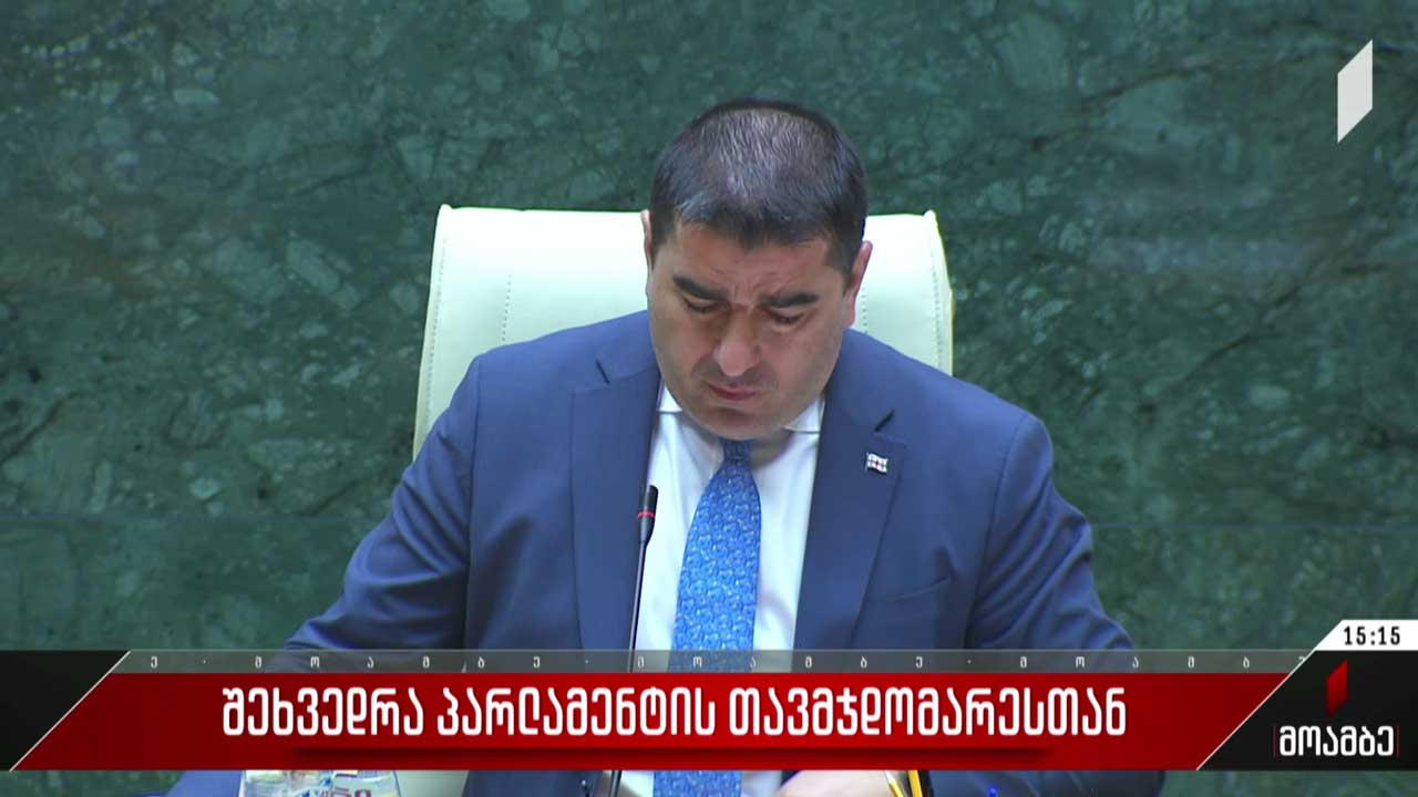 შეხვედრა შალვა პაპუაშვილთან