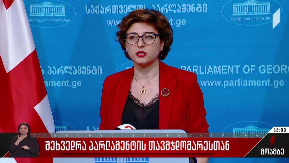 შეხვედრა პარლამენტის თავმჯდომარესთან