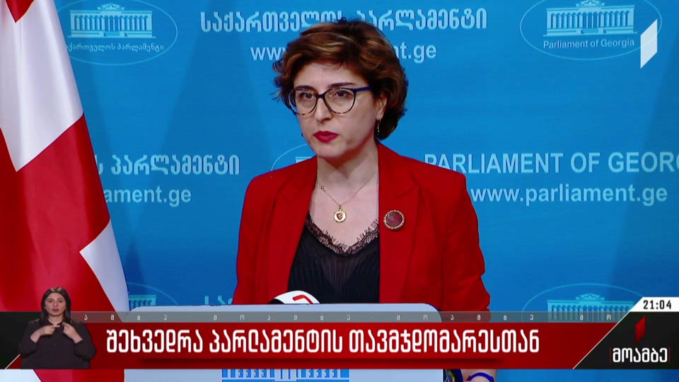შეხვედრა პარლამენტის თავმჯდომარესთან