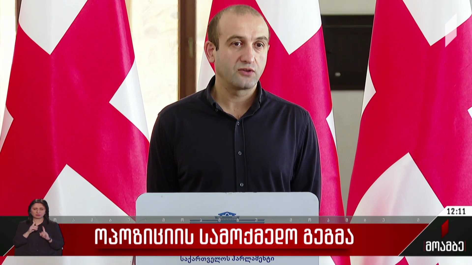 ოპოზიციის სამოქმედო გეგმა