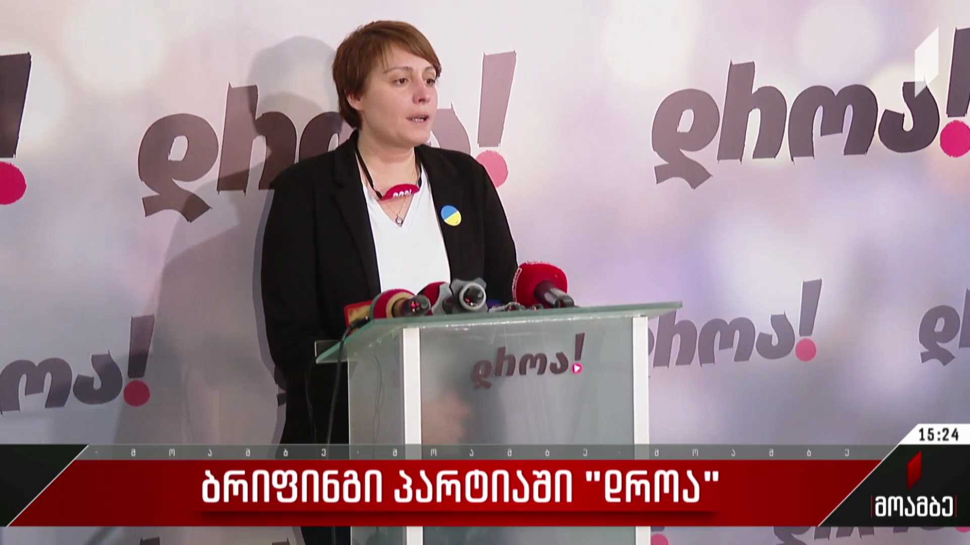 ბრიფინგი პარტიაში „დროა“