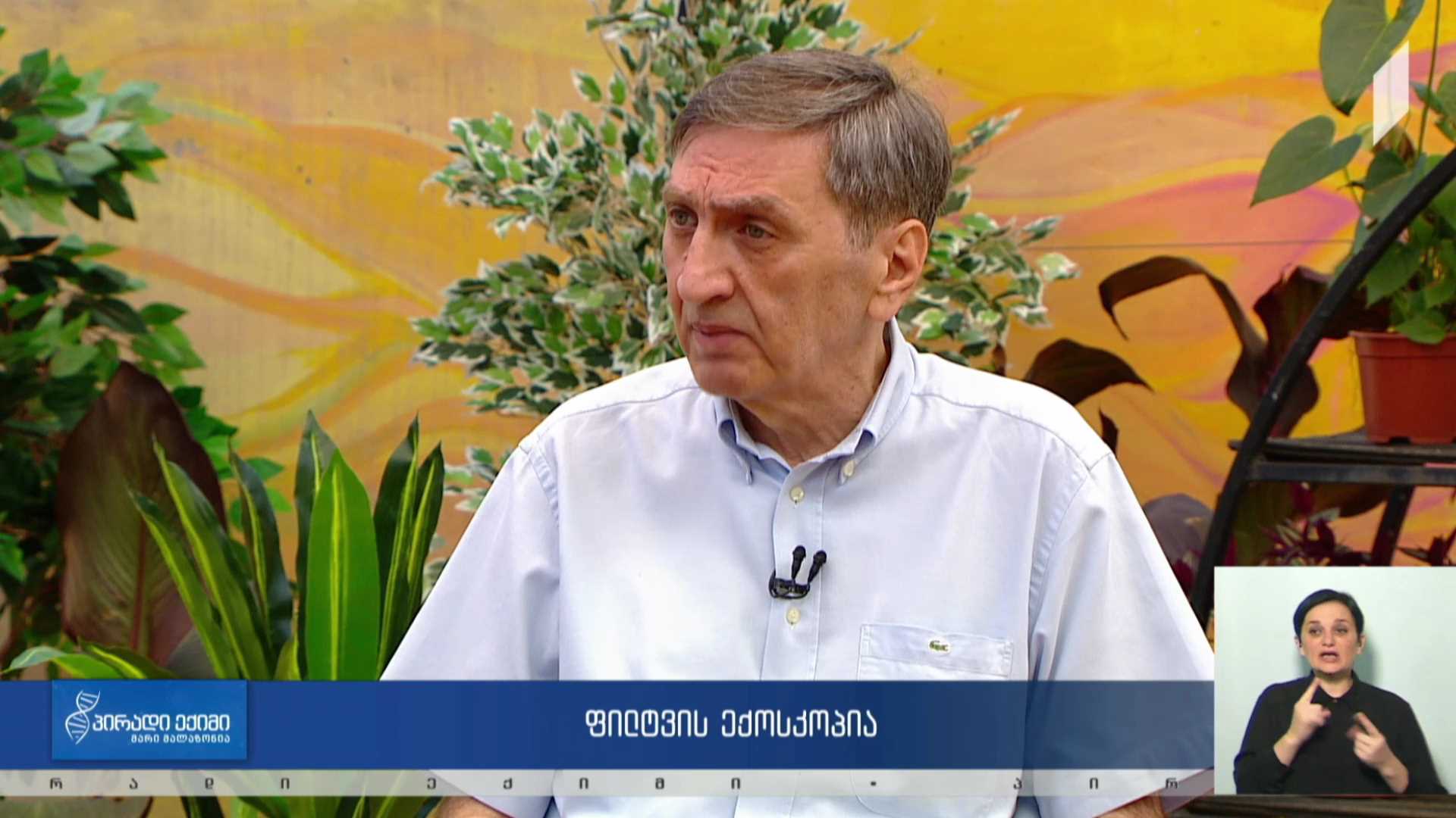 პირადი ექიმი - ფილტვის ექოსკოპია #LIVE