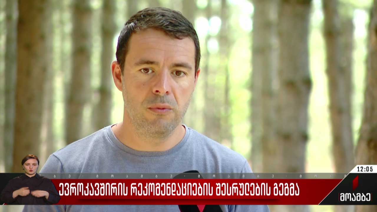 ევროკავშირის რეკომენდაციების შესრულების გეგმა