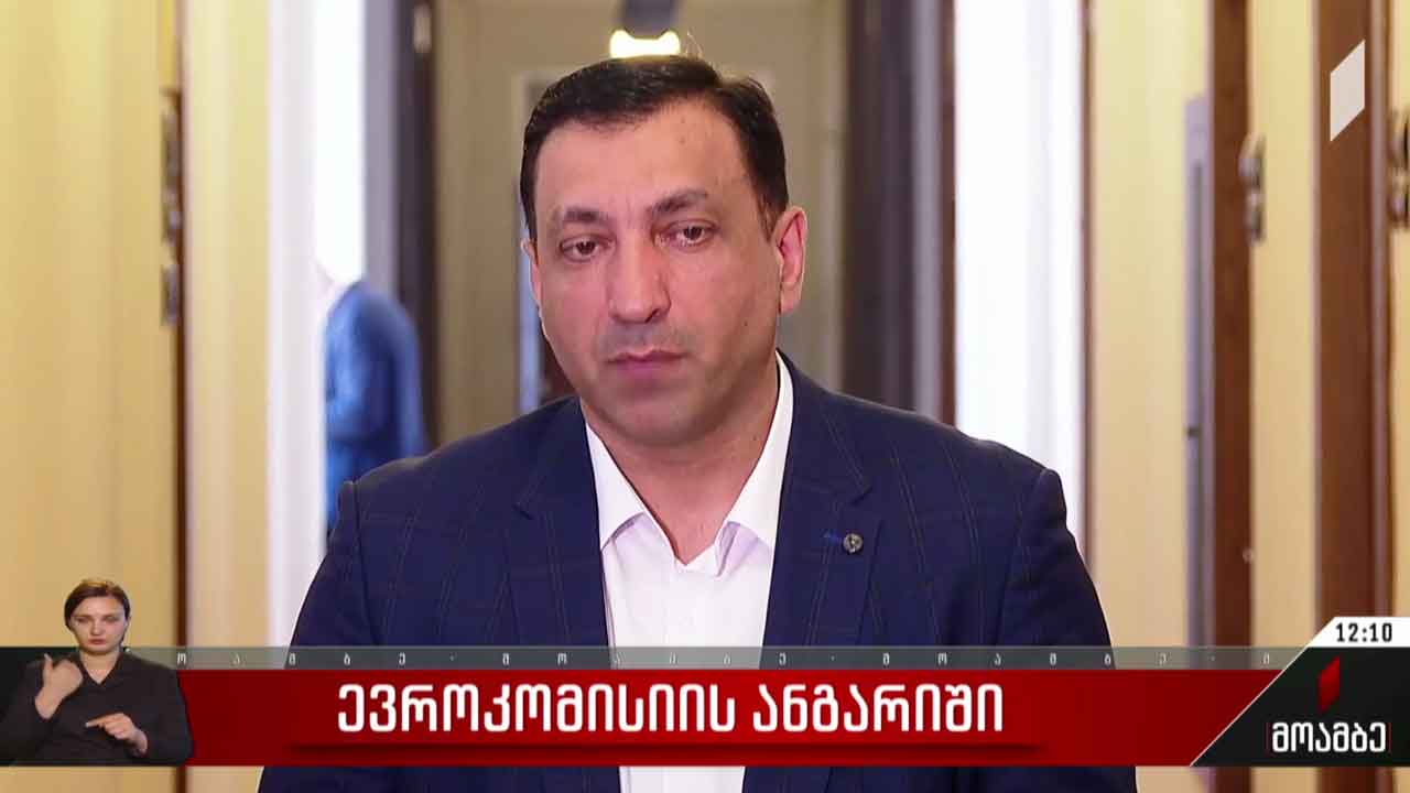 ევროკომისიის წარმომადგენლის განცხადება - შეფასებები
