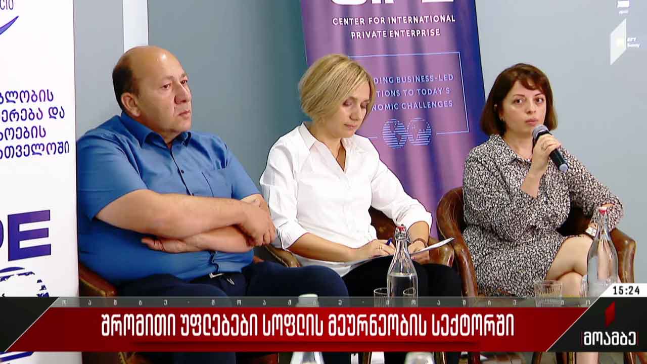 შრომითი უფლებები სოფლის მეურნეობის სექტორში