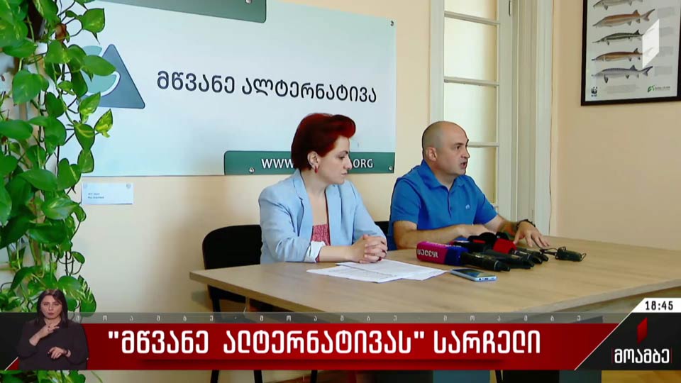 „მწვანე ალტერნატივას“ სარჩელი