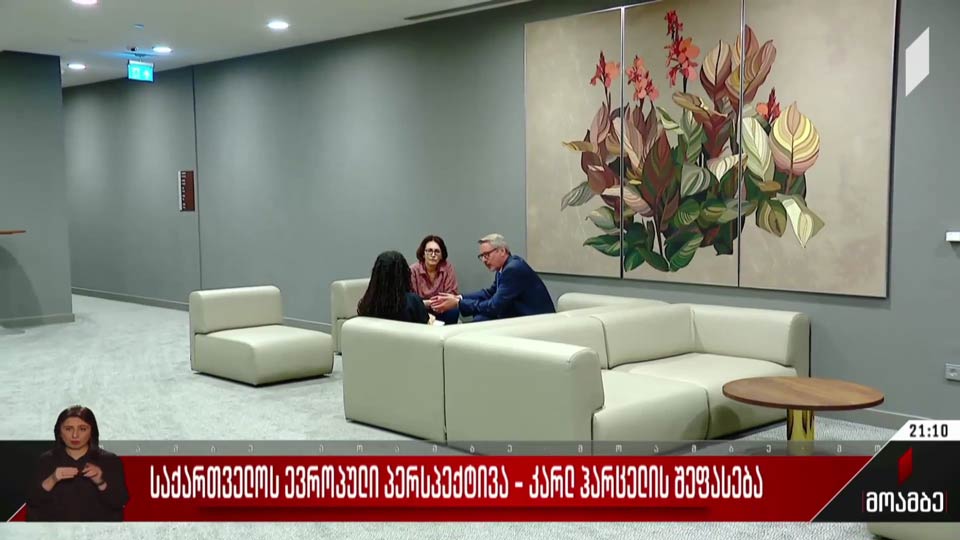 საქართველოს ევროპული პერსპექტივა - კარლ ჰარცელის შეფასება