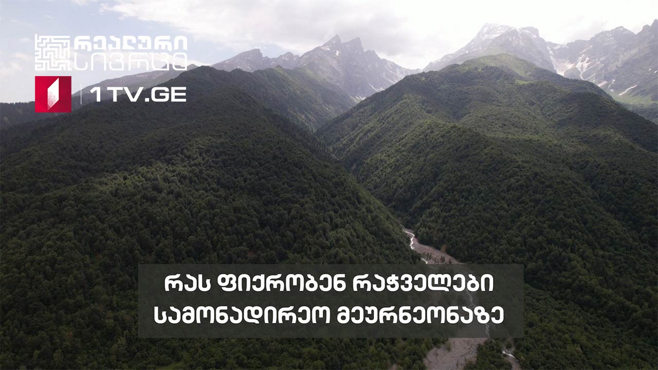 რეალური სივრცე - სამონადირეო მეურნეობა თუ ეროვნული პარკი #LIVE