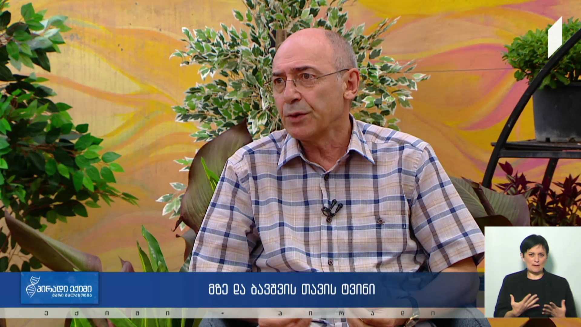 პირადი ექიმი - მზე და ბავშვის თავის ტვინი #LIVE