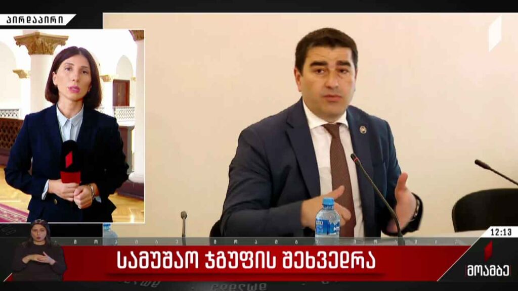 სამუშაო ჯგუფის შეხვედრა