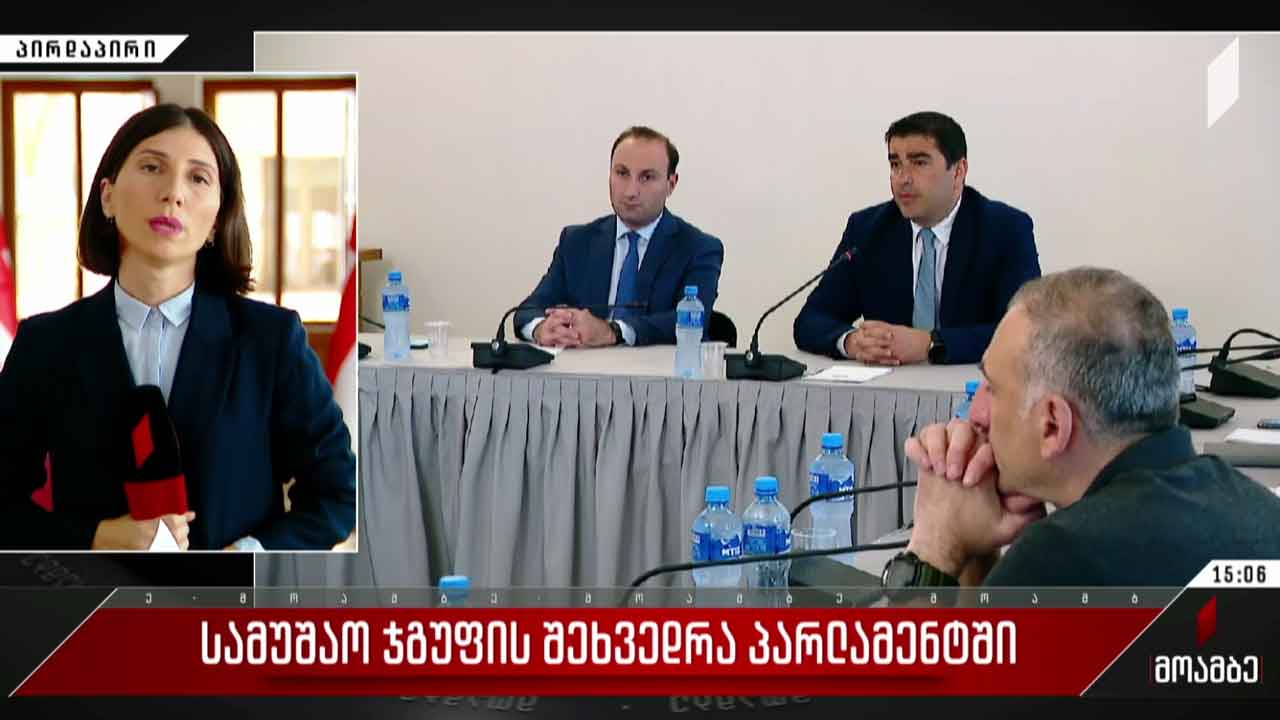 სამუშაო ჯგუფის შეხვედრა პარლამენტში