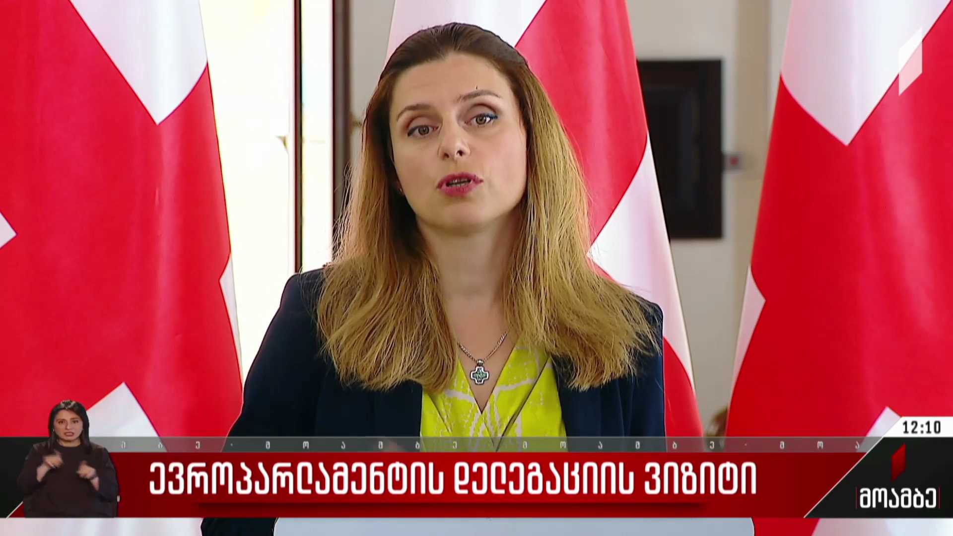 ევროპარლამენტის დელეგაციის ვიზიტი