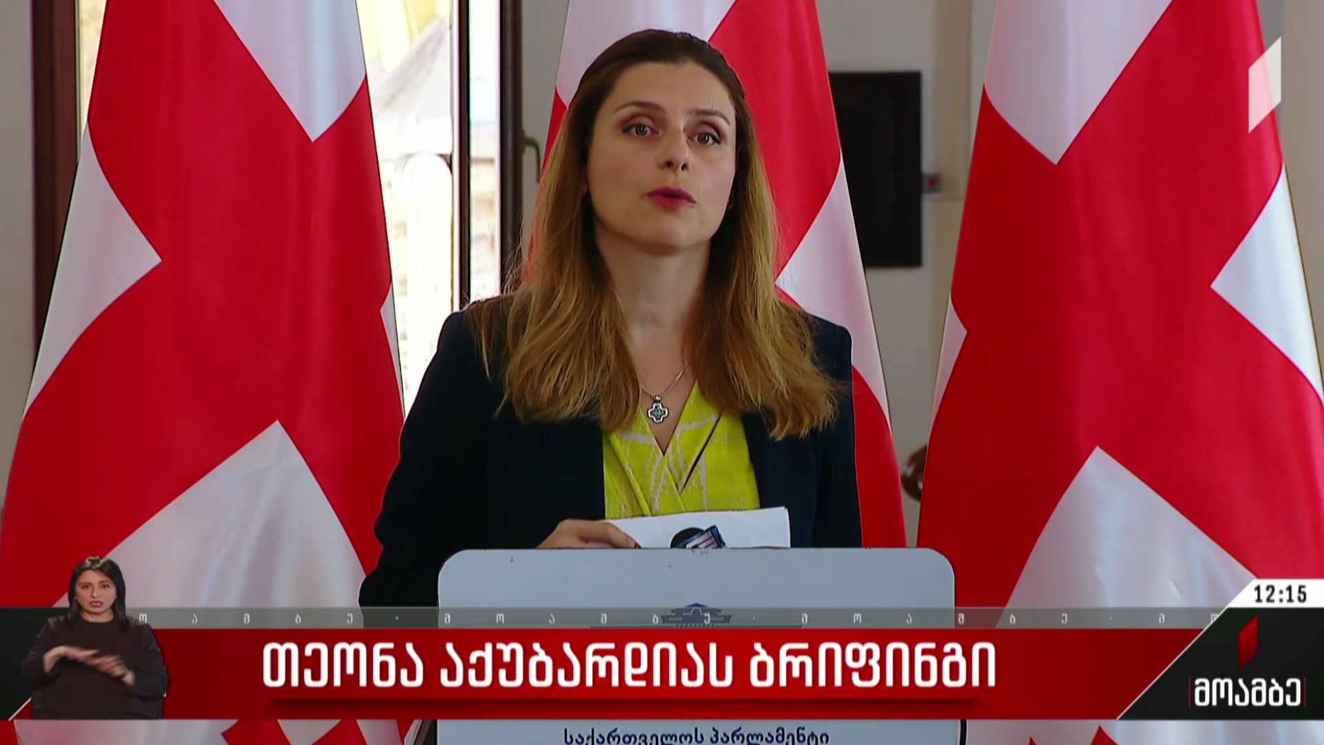 თეონა აქუბარდიას ბრიფინგი