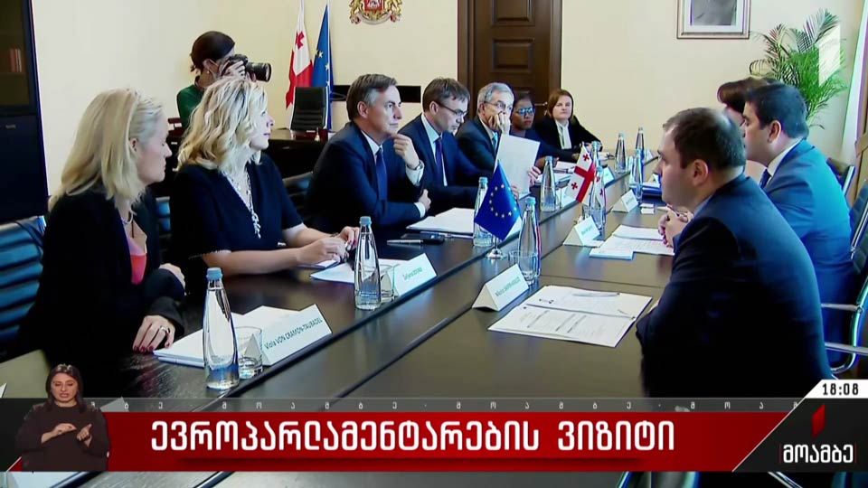 ევროპარლამენტარების ვიზიტი
