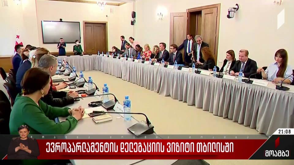 ევროპარლამენტის დელეგაციის ვიზიტი თბილისში