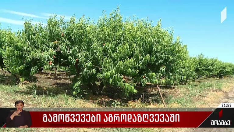 გამოწვევები აგროდაზღვევაში