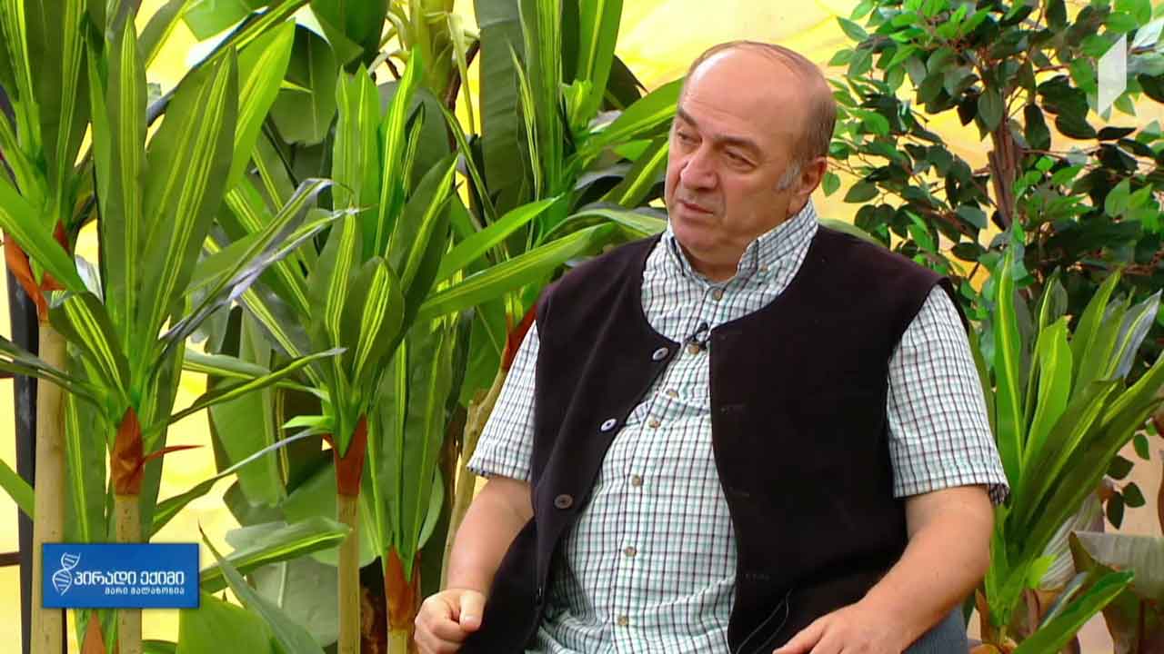 პირადი ექიმი - ძმარი, მურაბა, ჩირები და ჯანმრთელობა #LIVE