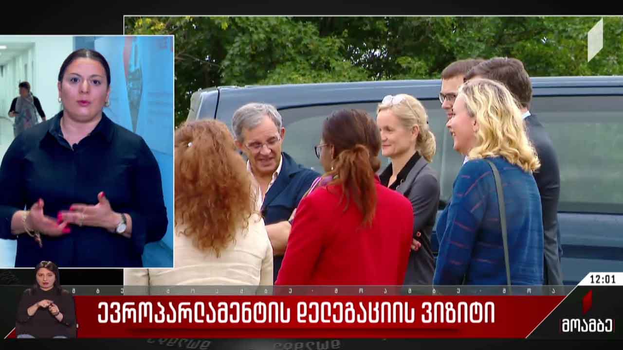 ევროპარლამენტის დელეგაციის ვიზიტი