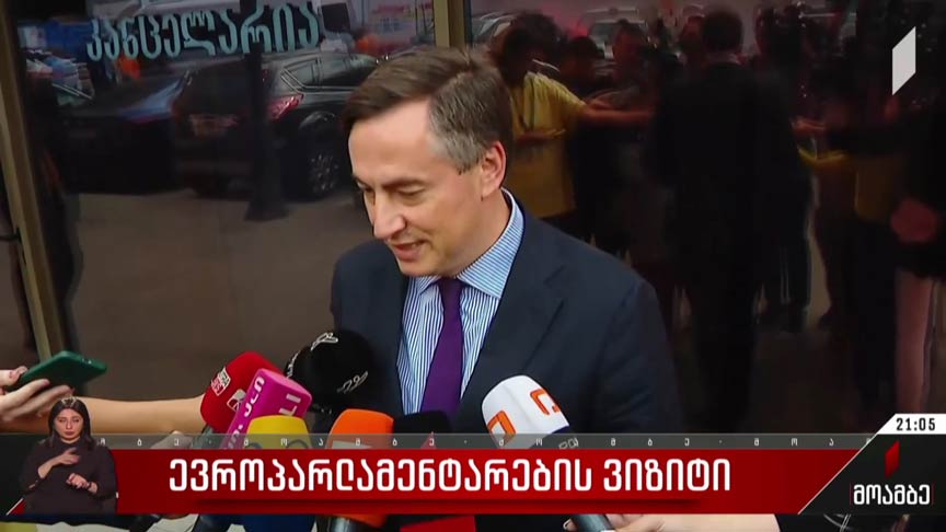 ევროპარლამენტარების ვიზიტი