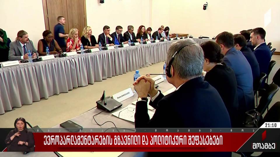 ევროპარლამენტარების გზავნილი და პოლიტიკური შეფასებები