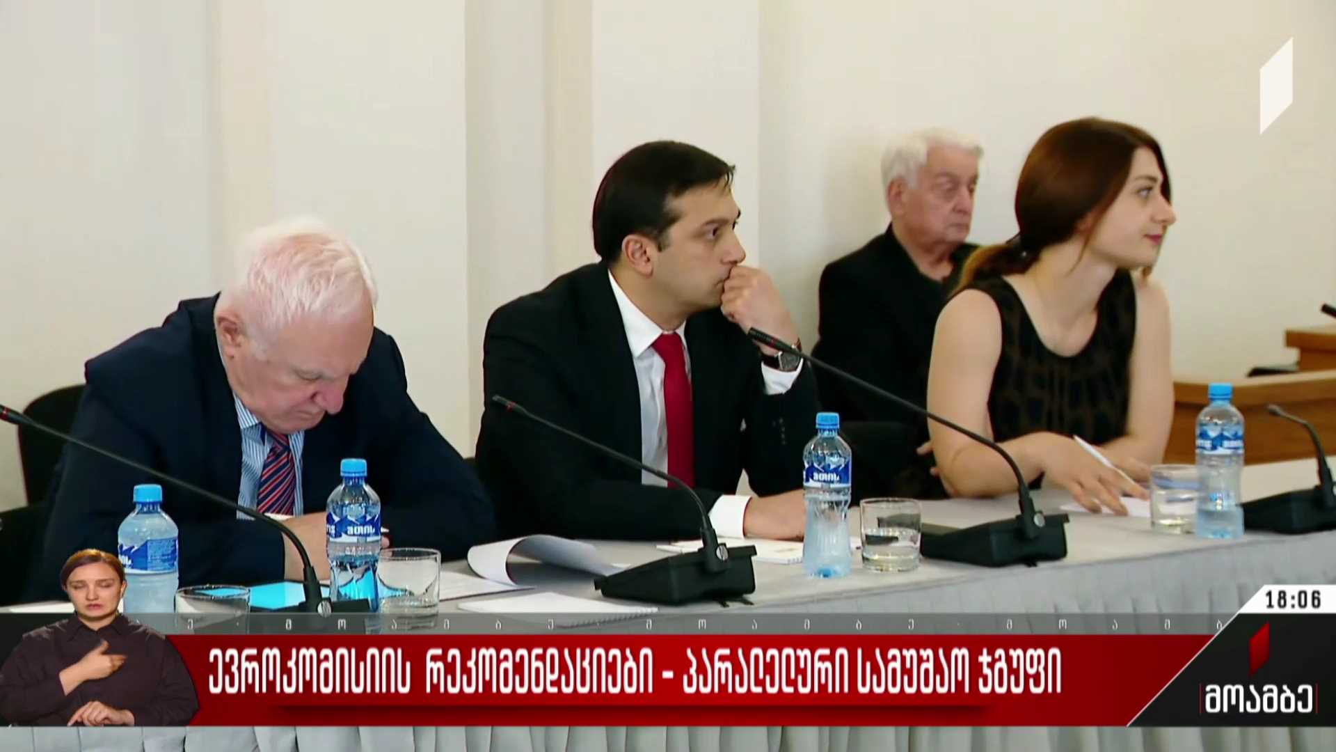 ევროკომისიის რეკომენდაციები - პარალელური სამუშაო ჯგუფი