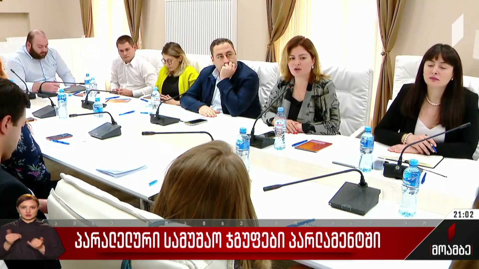 პარალელური სამუშაო ჯგუფი პარლამენტში