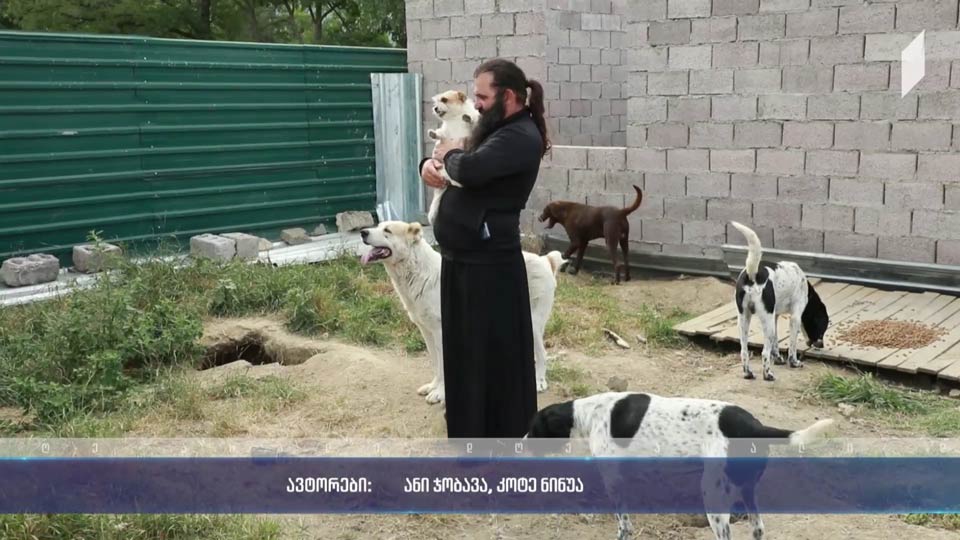 ბერი სებასტიანეს მოწყობილი თავშესაფარი მიუსაფარი ცხოველებისთვის