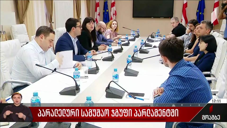 პარალელური სამუშაო ჯგუფი პარლამენტში