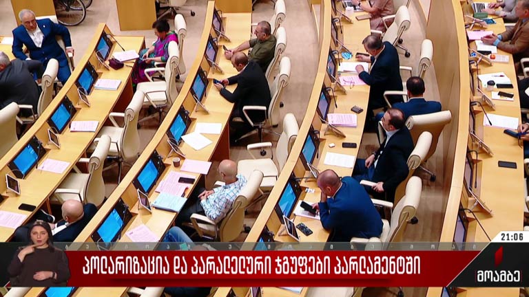 პოლარიზაცია და პარალელური ჯგუფები პარლამენტში