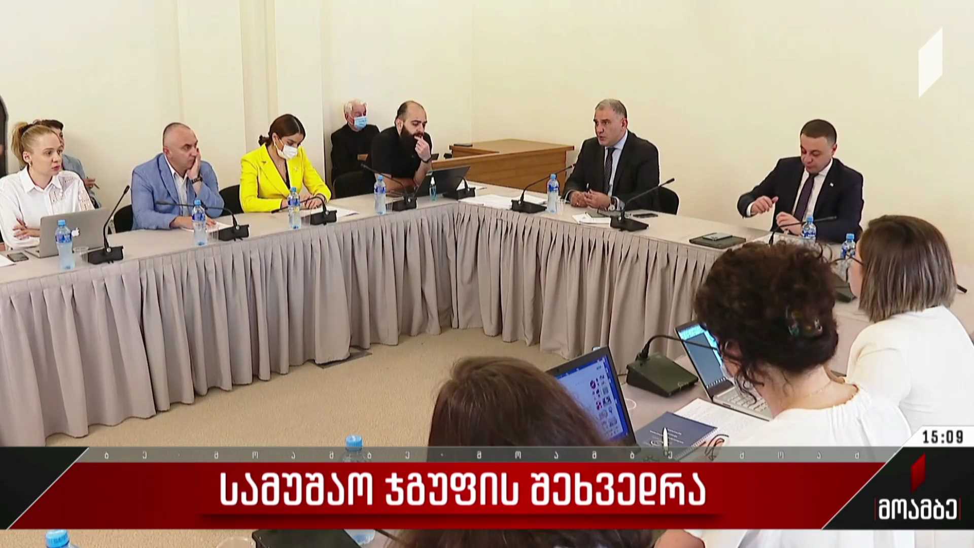 სამუშაო ჯგუფის შეხვედრა