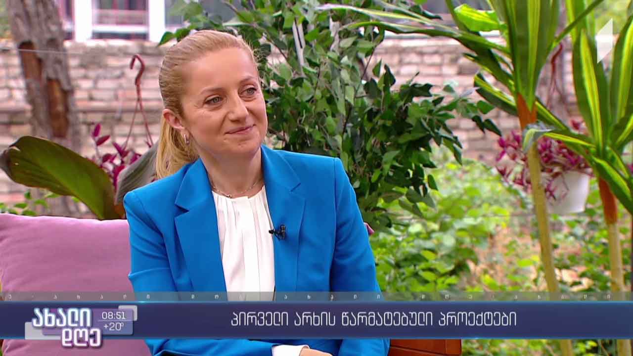 საქართველოს პირველი არხის წარმატებული პროექტი - „შარქ თენქ საქართველო“