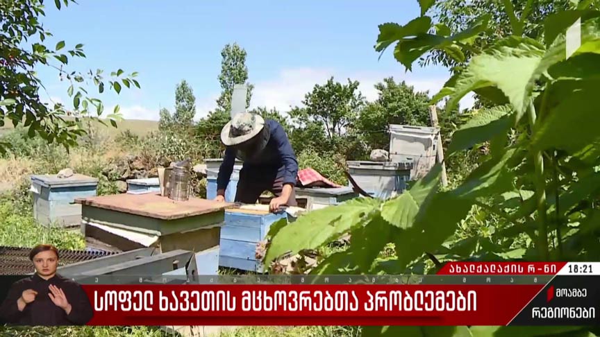 სოფელ ხავეთის მცხოვრებთა პრობლემები