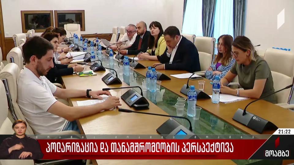 პოლარიზაცია და თანამშრომლობის პერსპექტივა