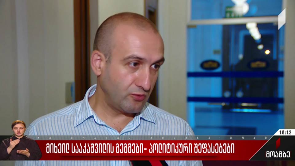 მიხეილ სააკაშვილის გეგმები - პოლიტიკური შეფასებები