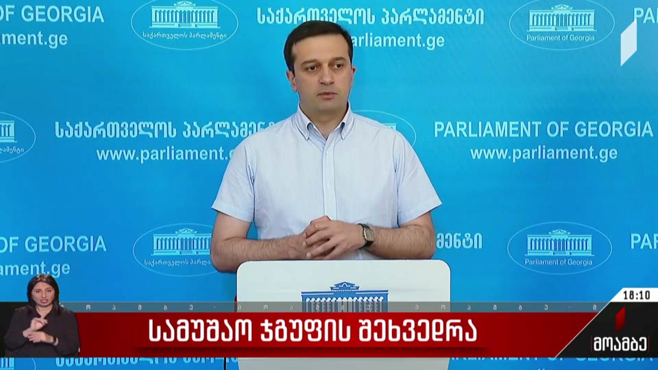სამუშაო ჯგუფის შეხვედრა
