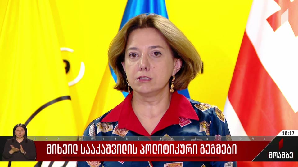 მიხეილ სააკაშვილის პოლიტიკური გეგმები