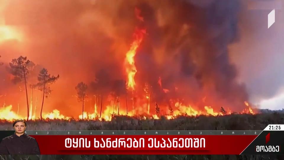ტყის ხანძრები ესპანეთში