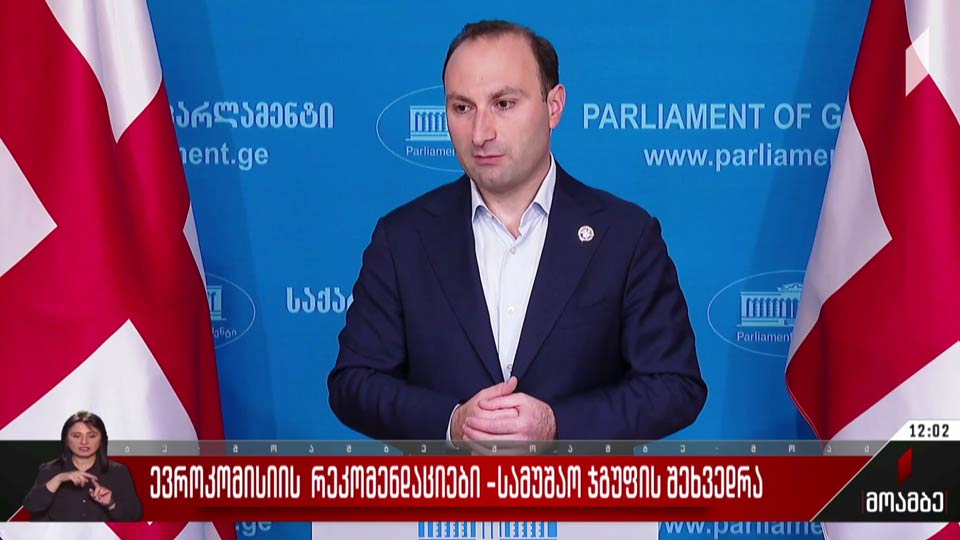 ევროკომისიის რეკომენდაციები - სამუშაო ჯგუფის შეხვედრა