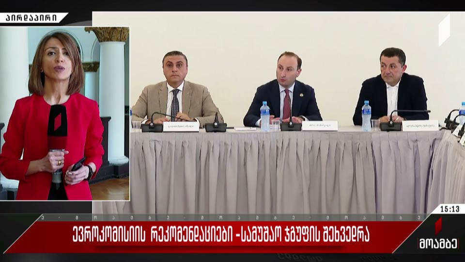 ევროკომისიის რეკომენდაციები - სამუშაო ჯგუფის შეხვედრა