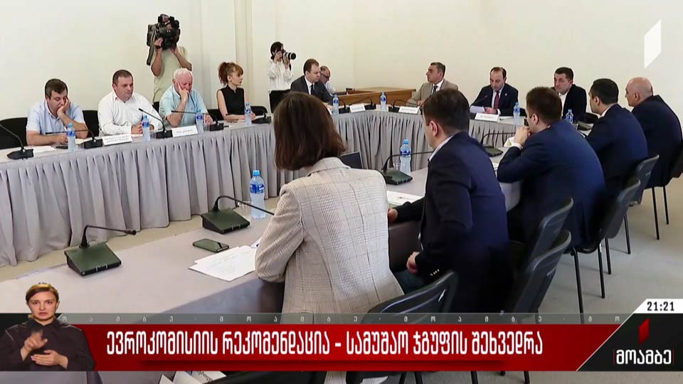 ევროკომისიის რეკომენდაცია - სამუშაო ჯგუფის შეხვედრა