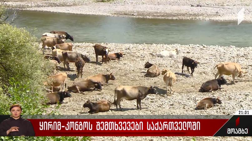 ყირიმ-კონგოს შემთხვევები საქართველოში