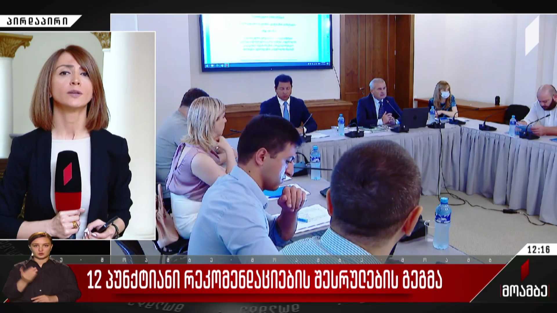 12-პუნქტიანი რეკომენდაციების შესრულების გეგმა