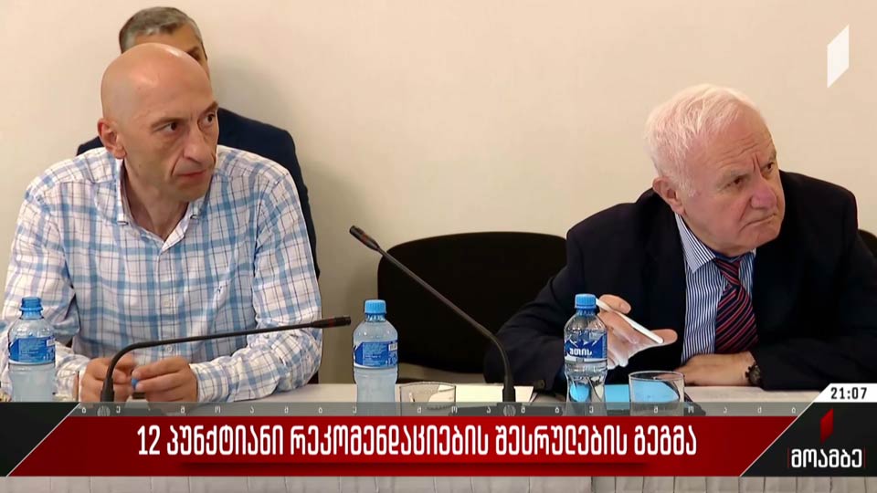 12-პუნქტიანი რეკომენდაციების შესრულების გეგმა