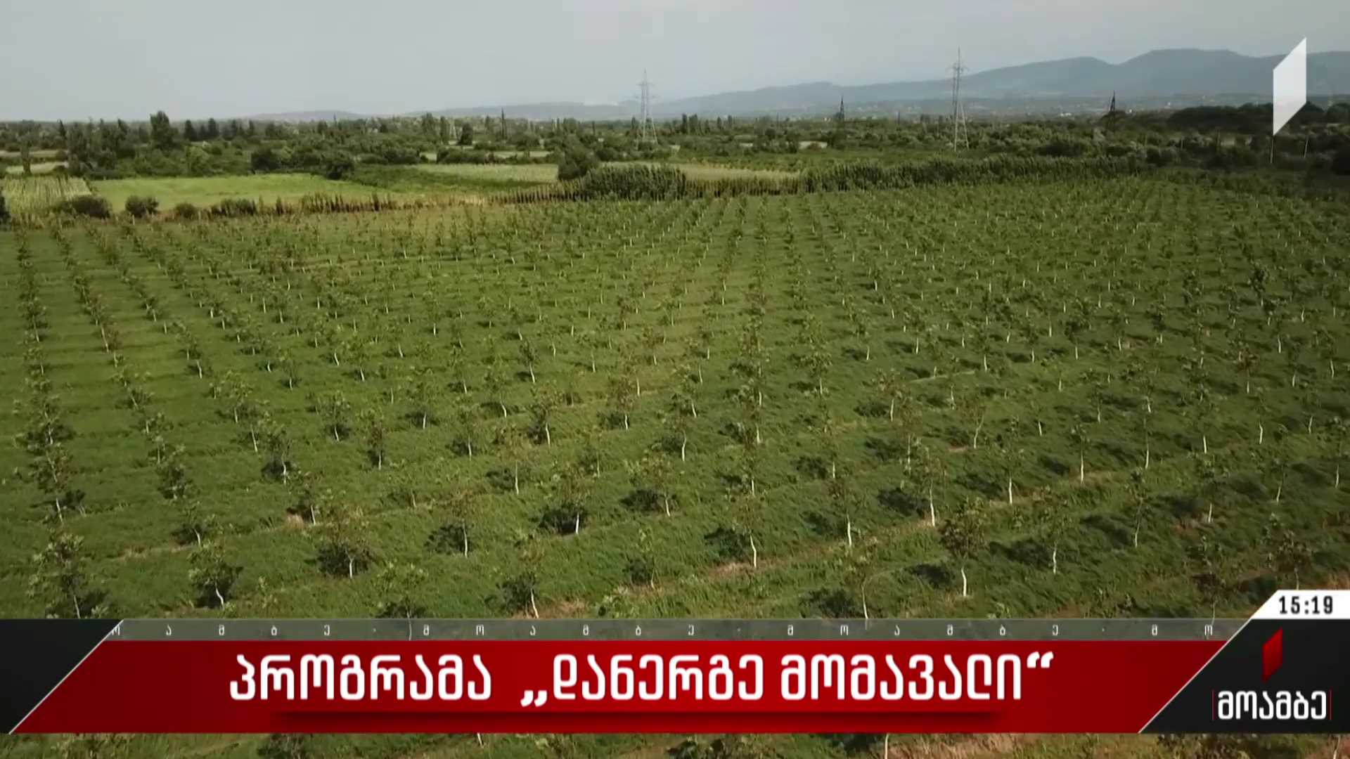 პროგრამა „დანერგე მომავალი“