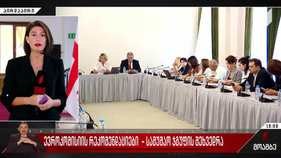 ევროკომისიის რეკომენდაციები - სამუშაო ჯგუფის შეხვედრა