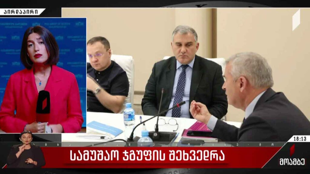 ევროკომისიის რეკომენდაციები – საპარლამენტო კონტროლის მექანიზმი