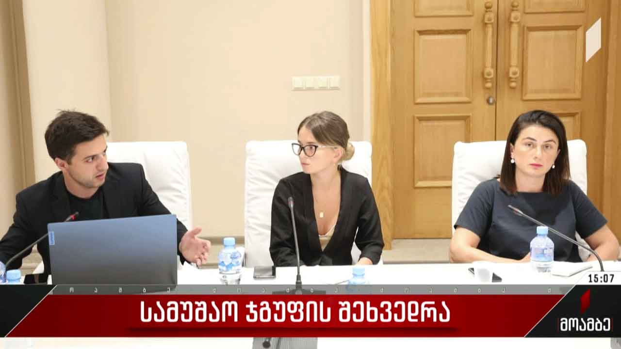 სამუშაო ჯგუფის შეხვედრა